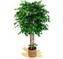 Keinotekoinen ficus hinta ja tiedot | Keinotekoiset kukat | hobbyhall.fi