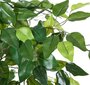 Keinotekoinen ficus hinta ja tiedot | Keinotekoiset kukat | hobbyhall.fi