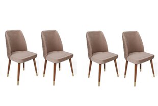 4-osainen tuolisarja, Asir, beige/ruskea/kulta hinta ja tiedot | Ruokapöydän tuolit | hobbyhall.fi