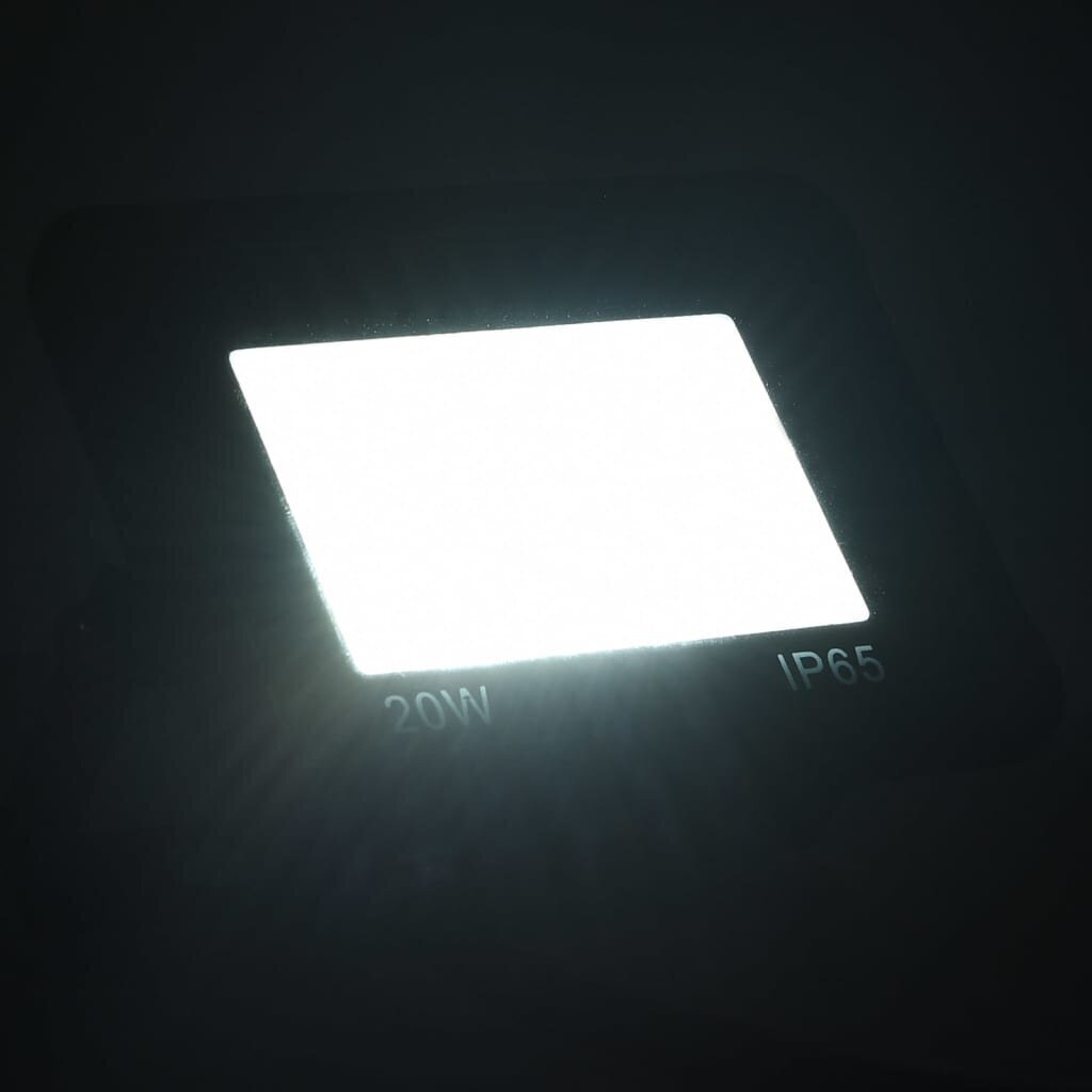 vidaXL LED-valonheitin 20 W kylmä valkoinen hinta ja tiedot | Taskulamput ja valonheittimet | hobbyhall.fi