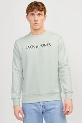 Huppari Jack & Jones 12256972GREENTINT-M hinta ja tiedot | Miesten neuleet ja villapaidat | hobbyhall.fi