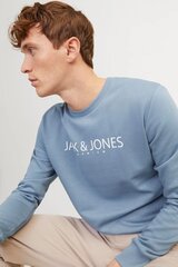 Huppari Jack & Jones 12256972TROPOSPHERE-M hinta ja tiedot | Miesten neuleet ja villapaidat | hobbyhall.fi