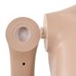 vidaXL mannekiini lasialustalla 180 cm beige hinta ja tiedot | Naulakot | hobbyhall.fi