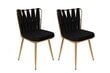 2kpl tuolin setti Kalune Design Kusakli 211 V2, musta hinta ja tiedot | Ruokapöydän tuolit | hobbyhall.fi
