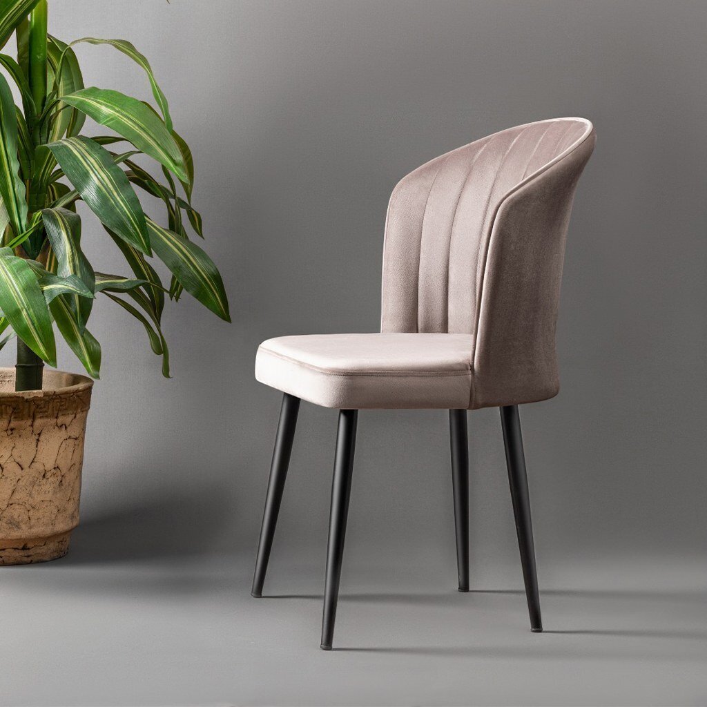 4 tuolin sarja Kalune Design Rubi, ruskea hinta ja tiedot | Ruokapöydän tuolit | hobbyhall.fi