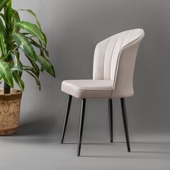 2 tuolin setti Kalune Design Rubi, valkoinen hinta ja tiedot | Ruokapöydän tuolit | hobbyhall.fi