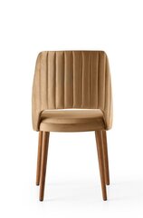 4 tuolin setti Kalune Design Acelya, ruskea hinta ja tiedot | Ruokapöydän tuolit | hobbyhall.fi