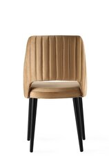 4 tuolin setti Kalune Design Acelya, ruskea hinta ja tiedot | Ruokapöydän tuolit | hobbyhall.fi