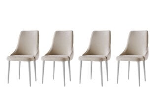 4 tuolin setti Kalune Design Seyhan, beige/valkoinen hinta ja tiedot | Ruokapöydän tuolit | hobbyhall.fi