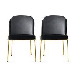 2-tuolin setti Kalune Design Dore 103 V2, musta/kultainen hinta ja tiedot | Ruokapöydän tuolit | hobbyhall.fi