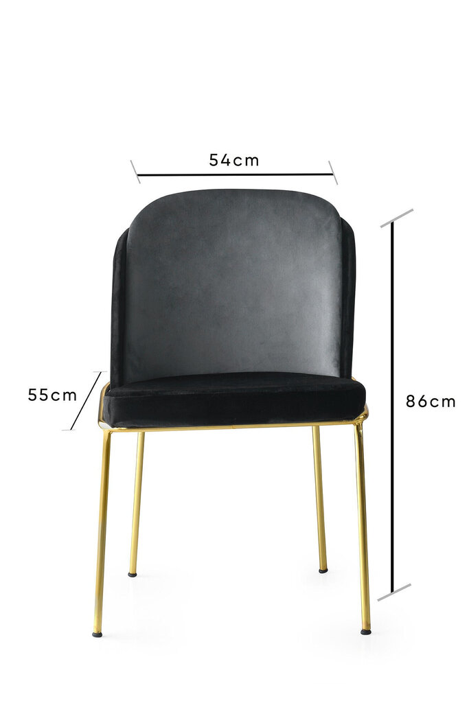 4 tuolin sarja Kalune Design Dore 103 V4, musta/harmaa hinta ja tiedot | Ruokapöydän tuolit | hobbyhall.fi