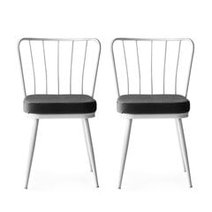 2 tuolin setti Kalune Design Yildiz 962 V2, harmaa/valkoinen hinta ja tiedot | Ruokapöydän tuolit | hobbyhall.fi