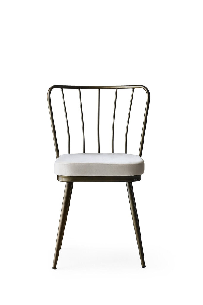 4 tuolin setti Kalune Design Yildiz 985 V4, valkoinen/musta hinta ja tiedot | Ruokapöydän tuolit | hobbyhall.fi