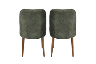 2-tuolin setti Kalune Design Dallas 558 V2, vihreä hinta ja tiedot | Ruokapöydän tuolit | hobbyhall.fi