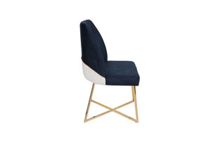 4 tuolin setti Kalune Design Madrid 908 V4, sininen hinta ja tiedot | Ruokapöydän tuolit | hobbyhall.fi