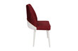 4 tuolin sarja Kalune Design Nova 081 V4, punainen hinta ja tiedot | Ruokapöydän tuolit | hobbyhall.fi