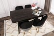 Ruokapöytä Kalune Design Inci 1143, musta hinta ja tiedot | Ruokapöydät | hobbyhall.fi