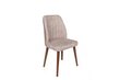 4 kpl tuolin setti Kalune Design Alfa 465 V4, beige/ruskea hinta ja tiedot | Ruokapöydän tuolit | hobbyhall.fi