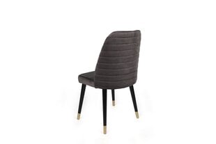 4 tuolin sarja Kalune Design Hugo 361 V4, harmaa hinta ja tiedot | Ruokapöydän tuolit | hobbyhall.fi