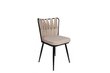 4 kpl tuolin setti Kalune Design Kusakli 221 V4, beige hinta ja tiedot | Ruokapöydän tuolit | hobbyhall.fi