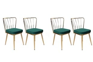 4 tuolin setti Kalune Design Yildiz 930 V4, vihreä hinta ja tiedot | Ruokapöydän tuolit | hobbyhall.fi