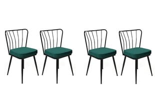4-tuolin setti Kalune Design Yildiz 951 V4, vihreä/musta hinta ja tiedot | Ruokapöydän tuolit | hobbyhall.fi