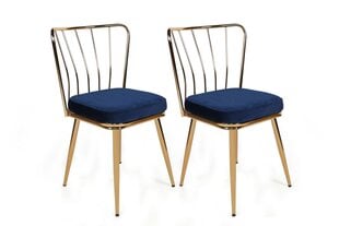 2-tuolin setti Kalune Design Yildiz 924 V2, sininen/kultainen hinta ja tiedot | Ruokapöydän tuolit | hobbyhall.fi