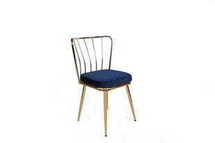 2-tuolin setti Kalune Design Yildiz 924 V2, sininen/kultainen hinta ja tiedot | Ruokapöydän tuolit | hobbyhall.fi