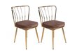 2-tuolin setti Kalune Design Yildiz 927 V2, ruskea/kultainen hinta ja tiedot | Ruokapöydän tuolit | hobbyhall.fi