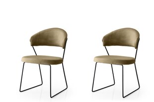 2-tuolin setti Kalune Design MN 882 V2, harmaa hinta ja tiedot | Ruokapöydän tuolit | hobbyhall.fi