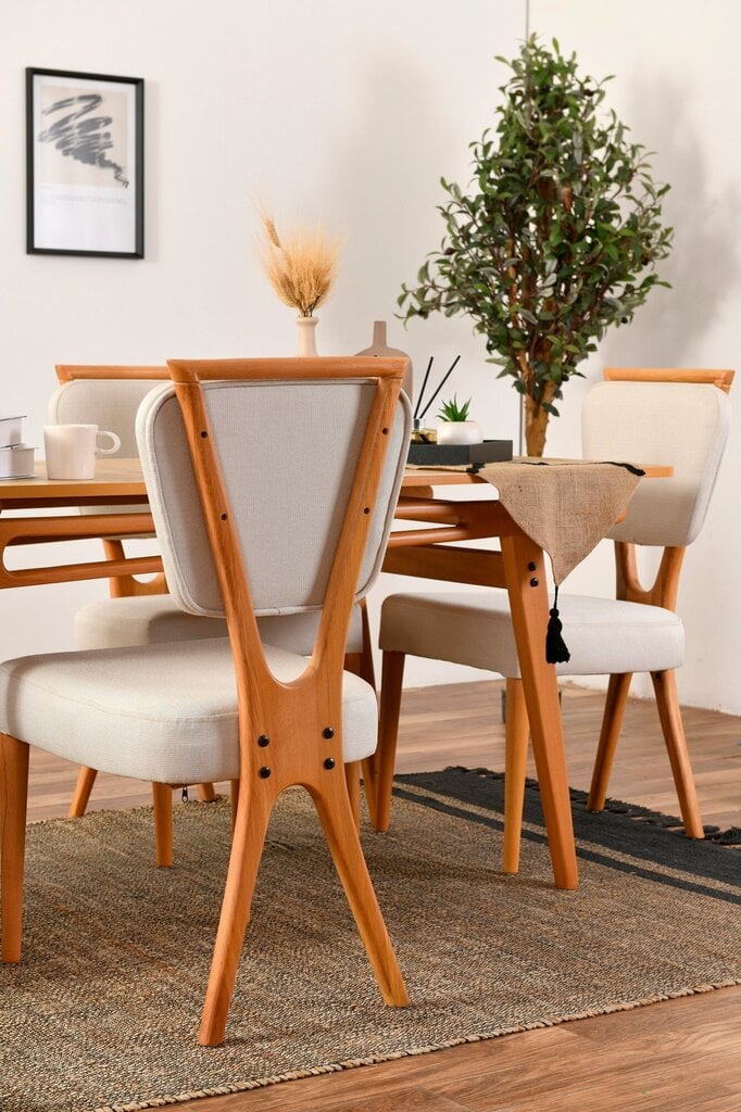 2 tuolin sarja Asir Palace v2, ruskea/valkoinen hinta ja tiedot | Ruokapöydän tuolit | hobbyhall.fi