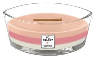 Woodwick tuoksukynttilä Trilogy Blooming Orchard 453,6 g hinta ja tiedot | Kynttilät ja kynttilänjalat | hobbyhall.fi