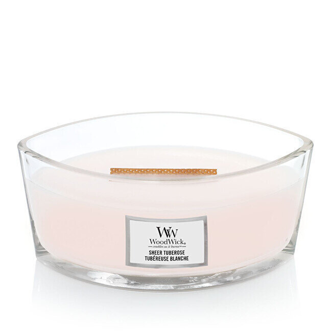 WoodWick Ellipse Sheer Tuberose -tuoksukynttilä 453,6 g hinta ja tiedot | Kynttilät ja kynttilänjalat | hobbyhall.fi