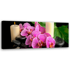 Kuva, Orkideat hinta ja tiedot | Taulut | hobbyhall.fi