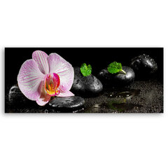 Kuva, Zen ja orkidea hinta ja tiedot | Taulut | hobbyhall.fi