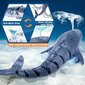 Uima-altaan lelu Shark hinta ja tiedot | Hiekkalelut ja rantalelut | hobbyhall.fi