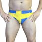 Ruotsin Lippu uimahousut hinta ja tiedot | Miesten uimahousut ja -shortsit | hobbyhall.fi