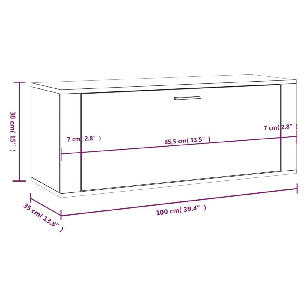 vidaXL Seinäkenkäkaappi harmaa Sonoma 100x35x38 cm tekninen puu hinta ja tiedot | Kenkäkaapit ja -hyllyt | hobbyhall.fi