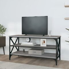 vidaXL TV-taso harmaa Sonoma 100x40x50 cm tekninen puu hinta ja tiedot | TV-tasot | hobbyhall.fi