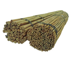 Dixie Store Bamboo Sticks | Bambu -tikkujen asettamat kukkatuet | Vahvat kasvipaikat, jotka on valmistettu bambusta, 75 cm x 10-12 mm, 100 kappaletta, leveyden käyttö, kasvien tuki, luonnollinen väritys hinta ja tiedot | Kukkatelineet ja kukkapöydät | hobbyhall.fi