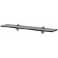 vidaXL Kelluvat hyllyt 2 kpl lasi 60x10 cm 8 mm hinta ja tiedot | Hyllyt | hobbyhall.fi