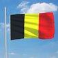 vidaXL Belgian lippu 90x150 cm hinta ja tiedot | Liput | hobbyhall.fi