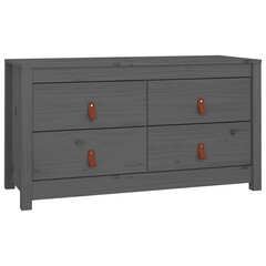 vidaXL Senkki harmaa 100x40x54 cm täysi mänty hinta ja tiedot | Olohuoneen kaapit ja lipastot | hobbyhall.fi