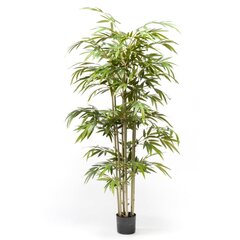 Emerald Tekokasvi bambu 150 cm hinta ja tiedot | Keinotekoiset kukat | hobbyhall.fi