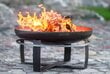 Tulipesä CookKing Viking, 70 cm hinta ja tiedot | Nuotiotarvikkeet | hobbyhall.fi