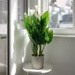 Tekokasvi ruukussa 96 cm hinta ja tiedot | Keinotekoiset kukat | hobbyhall.fi