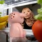 Säästöpossu jääkaappiin, orion hinta ja tiedot | Keittiövälineet | hobbyhall.fi