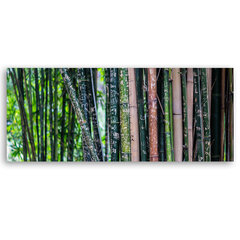 Taulu, Bambuja hinta ja tiedot | Taulut | hobbyhall.fi