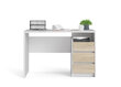 Kirjoituspöytä Tvilum Function Plus, valkoinen/ruskea hinta ja tiedot | Tietokonepöydät ja työpöydät | hobbyhall.fi