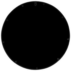 vidaXL Puutarhapeili musta 60x2,5 cm rauta pyöreä ulkokäyttöön hinta ja tiedot | Peilit | hobbyhall.fi